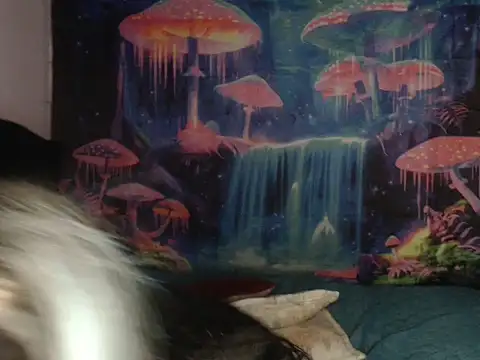 Show de webcam de 12_zasha_18