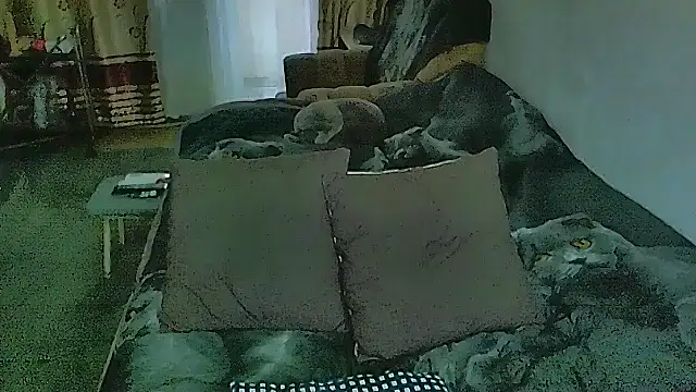 Chatroom XXX en direct de sex2