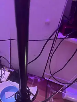 misterincred Live XXX-chat