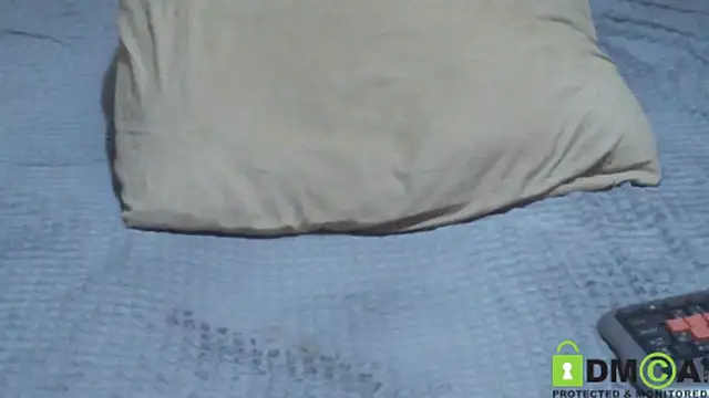 JumboBrain live XXX chat