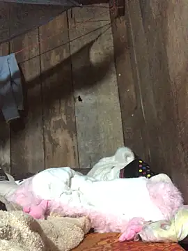 nonakana 网络视讯表演