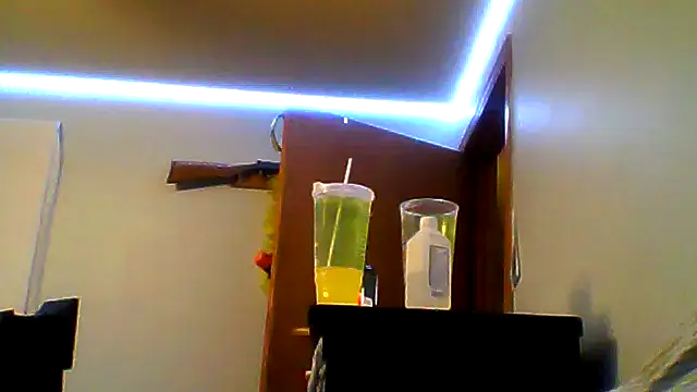 EdgarAlenPole webkamerás műsora