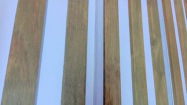 Chatroom XXX en direct de Jennifer_Vega1