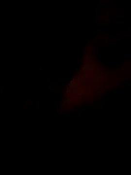 toodoparatiのウェブカメラショー