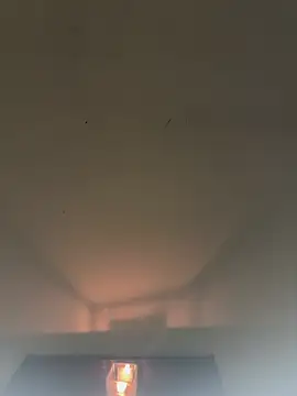 SLNatasha's Webcam Show