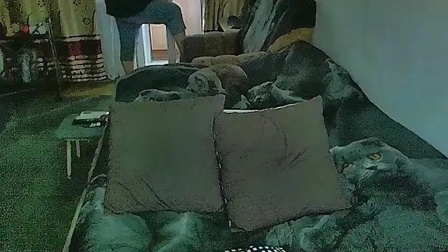 sex2's Live XXX Chat