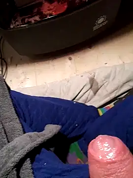 lambi123 Pertunjukan Webcam