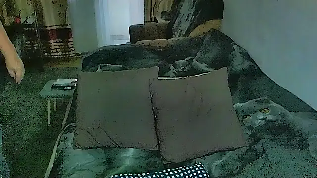 Chat XXX ao vivo de sex2