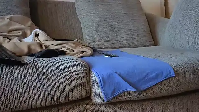 CDforU Pertunjukan Webcam