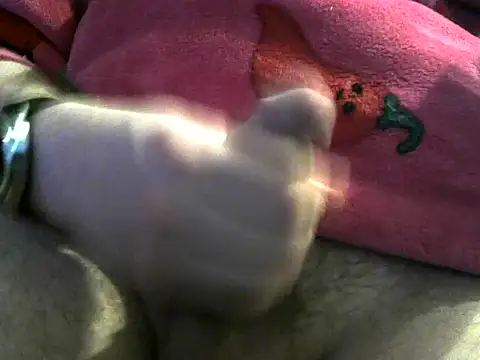 Webkamerová show Playerman98