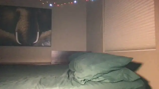 Chat XXX en directo de BWCJoshBanks97