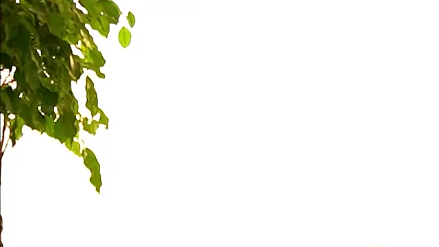 TheMaddisonShow_: онлайн-секс-чат