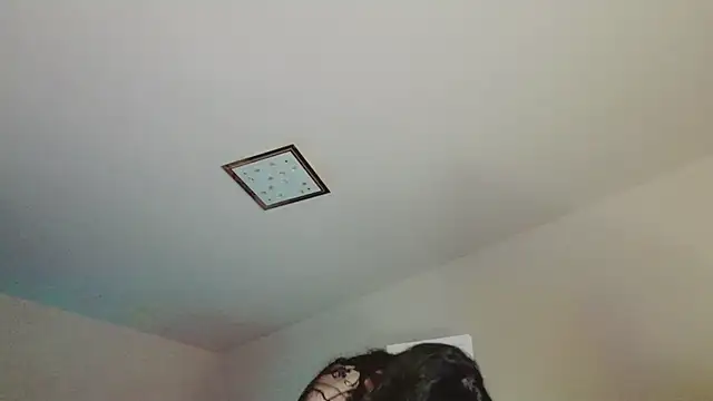 lara_heaven – Live XXX-chat