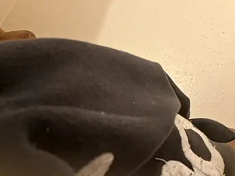 stressrliver88 Show in webcam