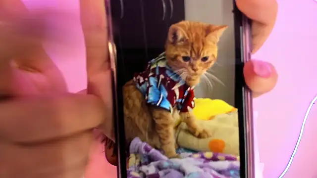 Kiikilove149 라이브 XXX 채팅