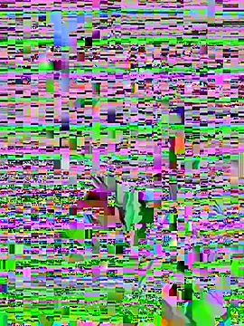 Hudson_mistery1's Webcam Show