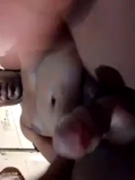 Show de Mashaps2384 na webcam