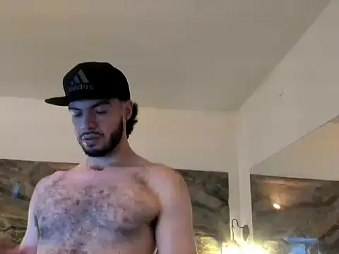 VelloTouch 网络视讯表演