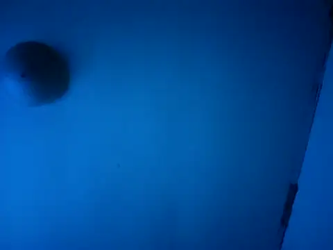 Chatroom XXX en direct de tattooed4you