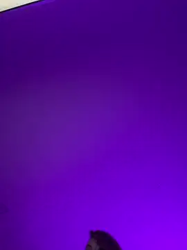 XXX chat uživo modela GiaStonne