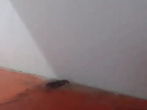 alexam_gal@xh: απευθείας συνομιλία ΧΧΧ