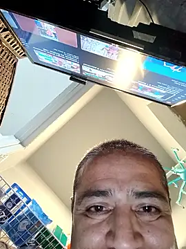 bimexpoexistのウェブカメラショー