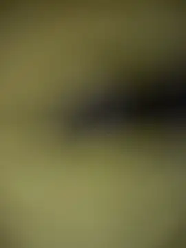 TheDime 라이브 XXX 채팅