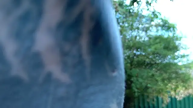 jane-booblegum: онлайн-секс-чат