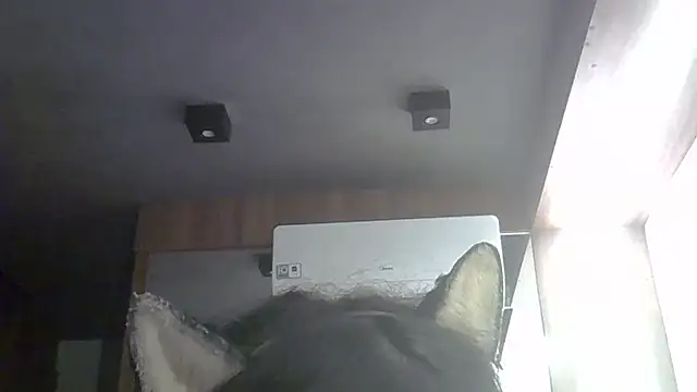 SkinnyKitten Webcam-Show