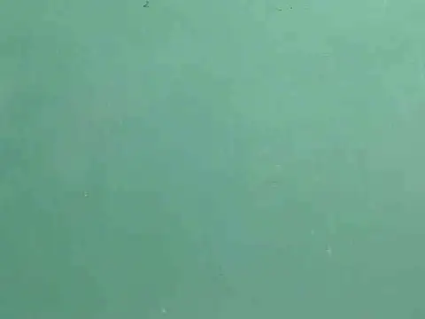 Chat XXX Live Charmingchub