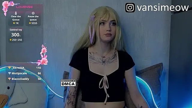 Вебкам-шоу vanxli