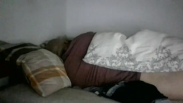 ariellek – Kamerová šou