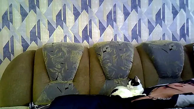 Chat XXX Live AnitaWillias