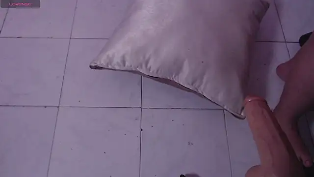 xambar_22x 라이브 XXX 채팅