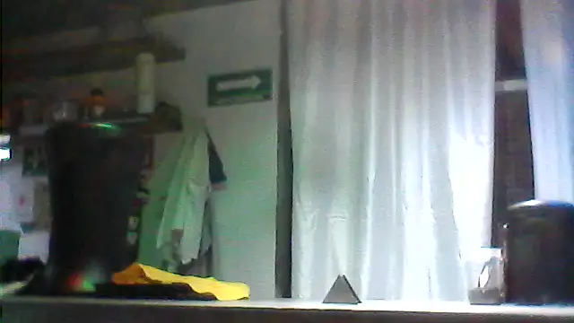 Show webcam de Burndew