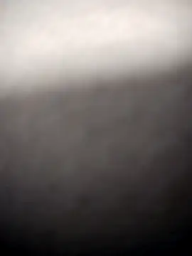 BD_228's Live XXX Chat