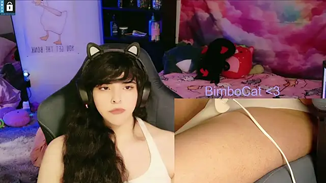 Pokazy przed kamerką – BimboCat