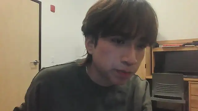 Show webcam de Ethangh001