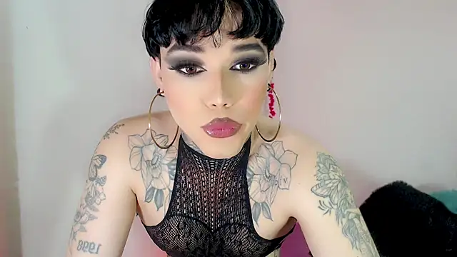 little_star_porn 웹캠 쇼