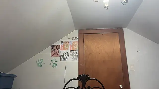 Show de webcam de RaeganV