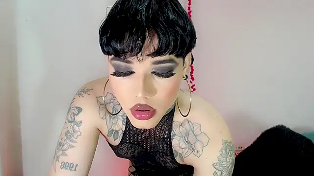 little_star_porn 웹캠 쇼