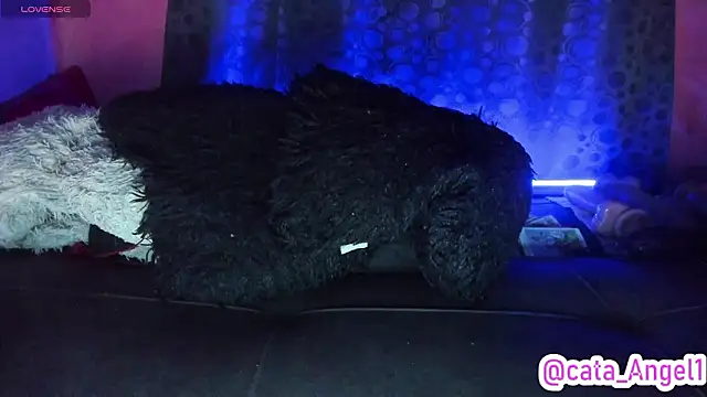 XXX chat uživo modela Cata-angel