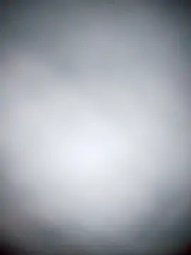 BD_228 Live XXX-Chat