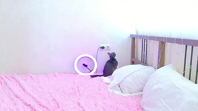 OnlyForYou_ Obrolan Langsung XXX