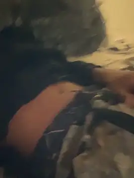 ZF-Athlete Show Webcam