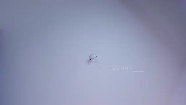 Show modela _Saraah na web-kameri