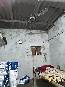 PolarFriend0 webkamerás műsora