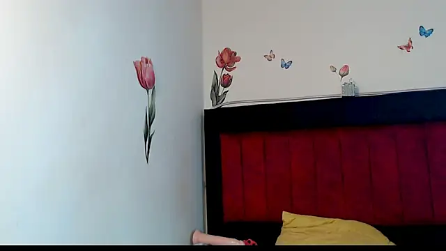 Chat +18 de AMARYXS ao vivo