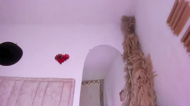 Brenda_lot Live XXX-Chat