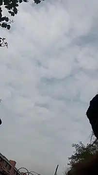 Chatroom XXX en direct de zhizhinaigai